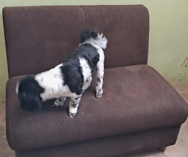 Sofá