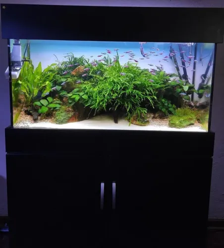 Aquario de 200L com móvel e equipamentos
