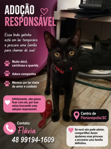 Adoção responsável