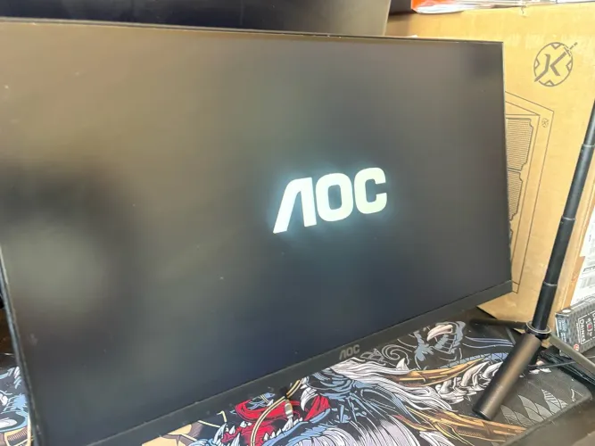 Monitor AOC 21 PL 100HZ
