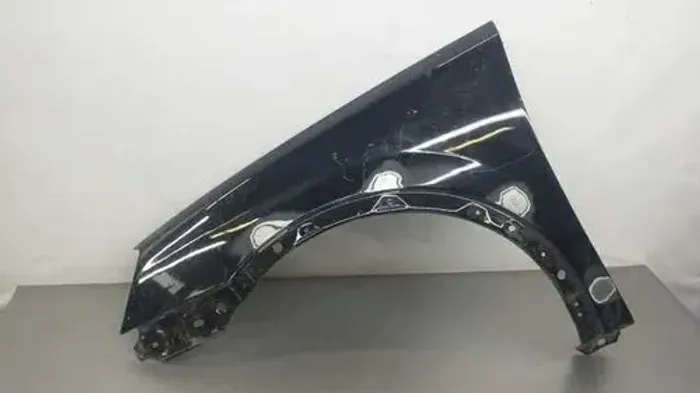 Paralama Esquerdo Corsa Montana 03/10