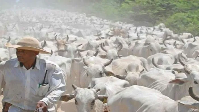 Fazenda em Miranda / Corumbá-MS. 87.851 hectares