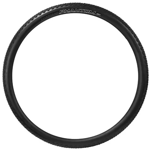 Pneu MTB 29 x 2.20 Chaoyang Phantom Dry 60 TPI com Arame 7911