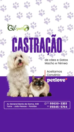 Castração Cães e Gatos 