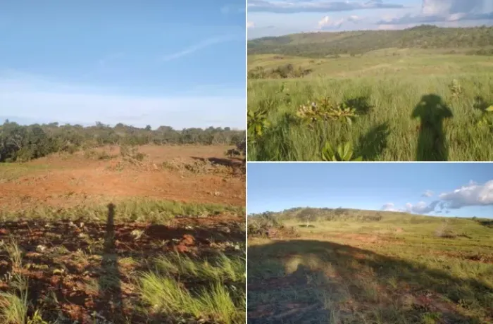 Compre Sua Fazenda em Porto Nacional: Ideal para Agricultura e Pecuária!