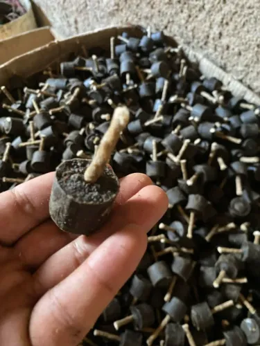 acendedor de carvão ( tochinha ) lenha lareira camping