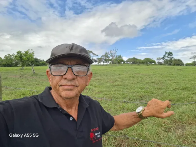 Fazenda de, aproximadas, 1.000t, com sede, boas aguadas e muito capim