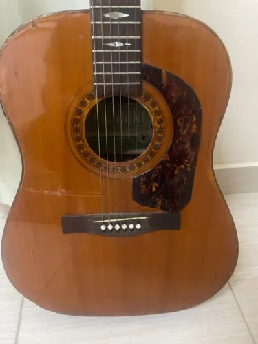 Violão Giannini 12 Cordas WG-86800 - Raro / Exportação / Vintage