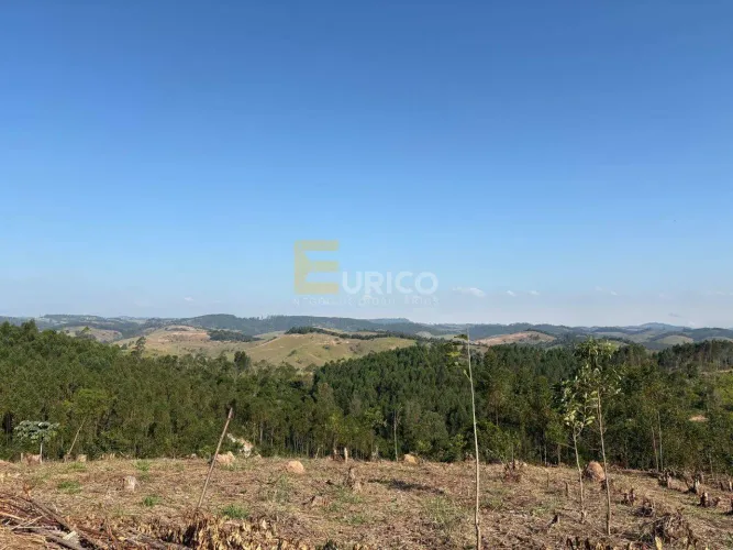 TERRENO/SITIO À VENDA NO CONDOMÍNIO AGROFLORESTAL VALE DA ALEGRIA  SANTA BRANCA / SP