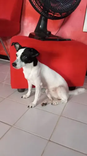 Estou doando