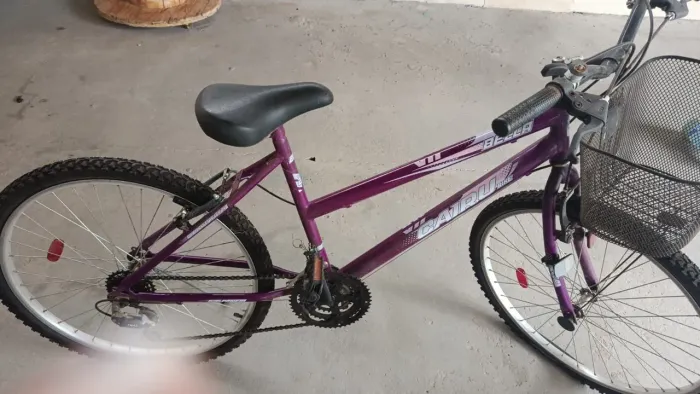 Bicicleta
