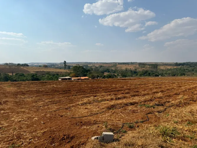 Chácara 10.000m2 com muita água - Apenas 10km de Anápolis