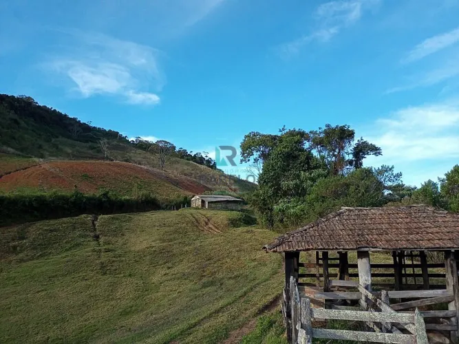 SÍTIO SEM BENFEITORIAS EM MARIA DA FÉ-MG