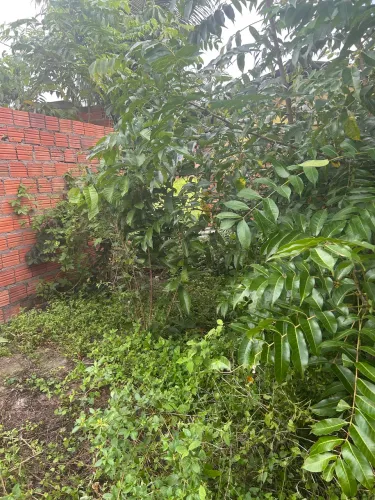 Terreno com construção 