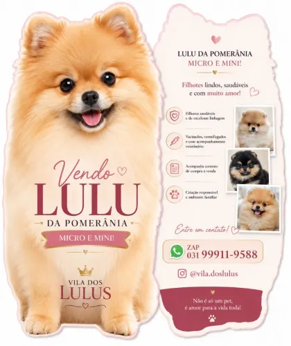 Lulu da Pomerânia