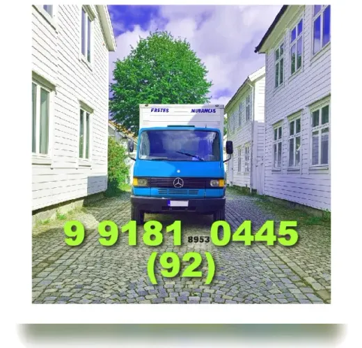 Frete Bau com ou s/ montador Eqp/Padrão