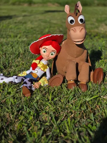 Bonecos toy story reservados