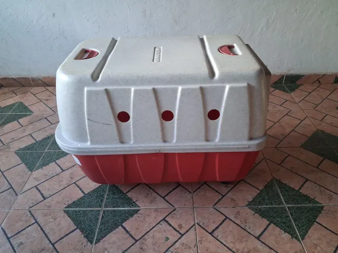 Caixa de transporte para pet - Clicknew