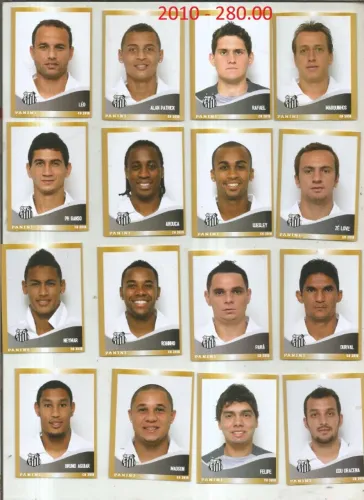 SANTOS CAMPEONATO BRASILEIRO 2010 - 280.00