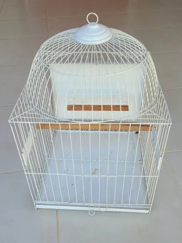 Gaiola para calopisita