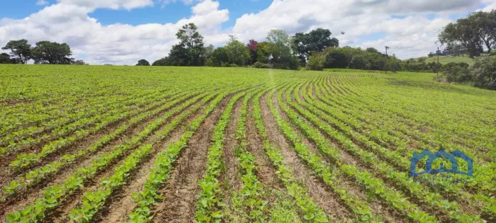 Sítio/Fazenda à Venda, 24,61 alqueires por R$ 7.400.000 Cód. ch2060