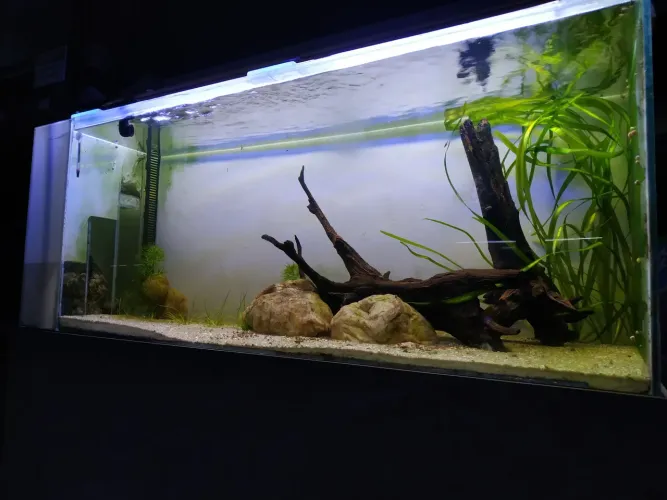 Aquário 292 litros completo.