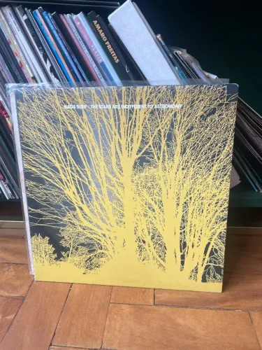 LP Nada Surf - The stairs are indifferent to astronomy