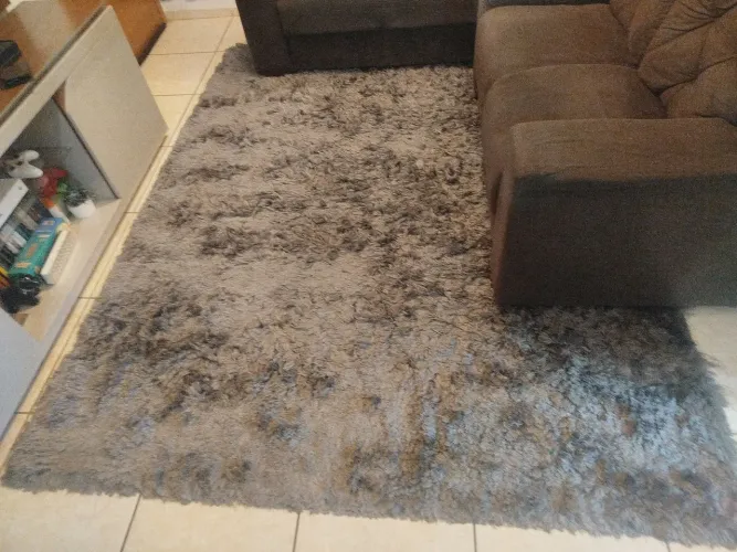 Tapete de sala 2,50 x 2,00