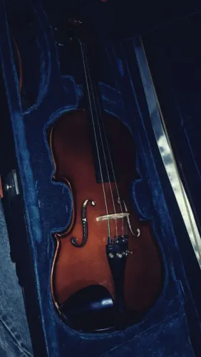 Vende-se ou Troca-se violino Eagle VE144 4/4