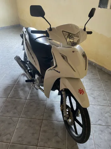 Avelloz muito nova