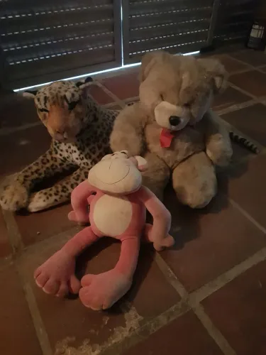 Ursos de pelúcia 