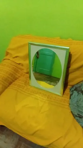 Porta Escova de Dente 