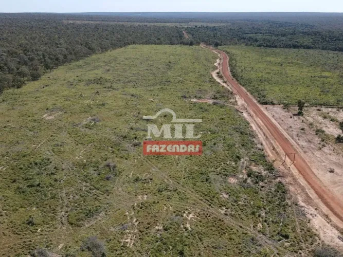 Fazenda no Sul do Maranhão para Soja. (6.000 Hectares).