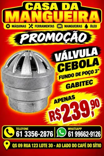 VALVULA CEBOLA 3" FUNDO DE POÇO C/MOLA GABITEC