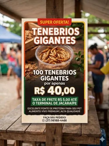 Tenebrios 