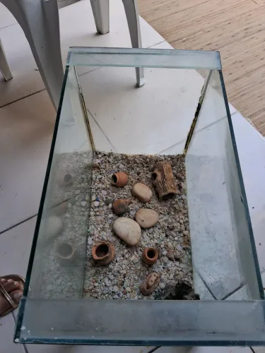 Aquário de 30 litros 