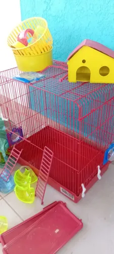 Casinha hamster 