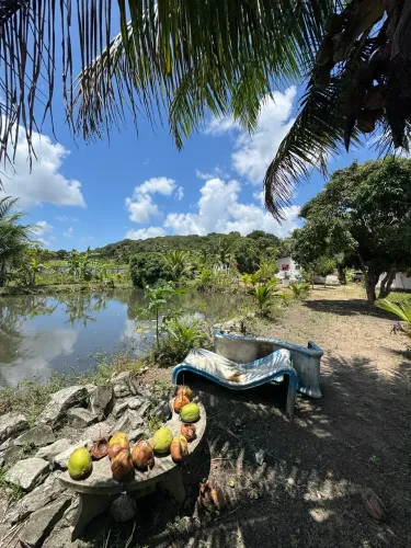 Chácara Rica em água - Zona rural Santa Rita 7 Hectares