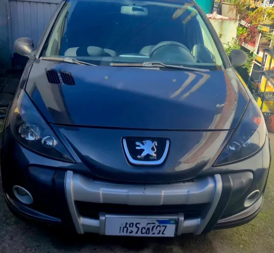 Peugeot Hoggar Escapade 1.6 Flex 16V 2P 2011
