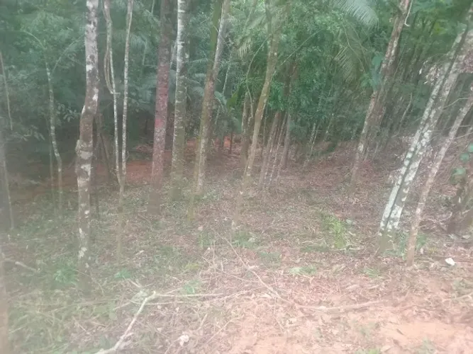 TERRENO SANTA MARIA DE ARAGUAIA - MARECHAL FLORIANO/ES