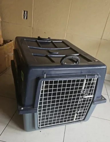 Vendo caixa n 5 para transportar cachorro de avião. Ideal para cachorro de porte medio.