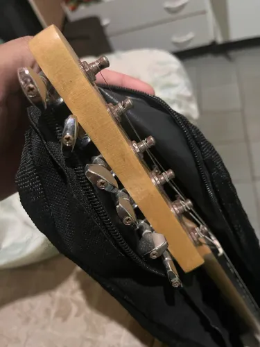 Guitarra Giannini G-101  