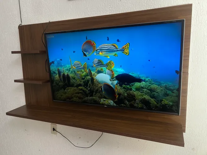 Tv 50 polegadas e painel