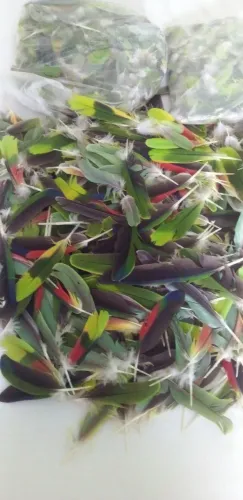 Penas Coloridas Naturais para Artesanato, Decoração e etc.