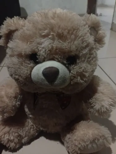 Ursinho