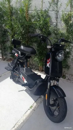 Moto elétrica Panda J10