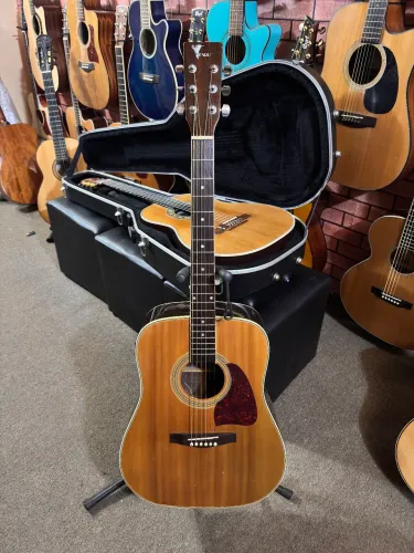 Violão Eagle Folk tampo sólido modelo raro Ch999 elétrico ANALISO TROCAS