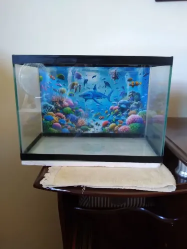 Aquário 15 litros completo