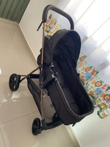 Carrinho de bebê Moisés