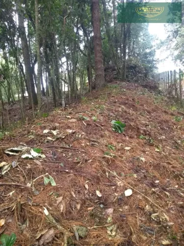 Terrenos para venda em Monte Verde no bairro Parque Monte Sol